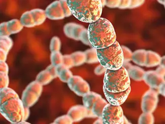 Streptococcus Salivarius