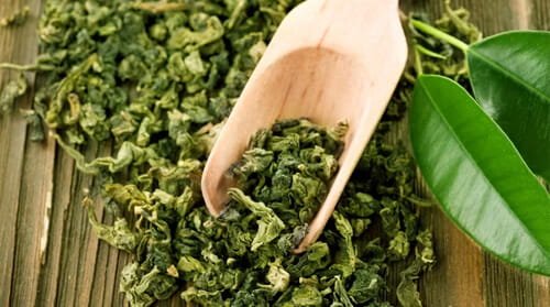 Green Tea Extract